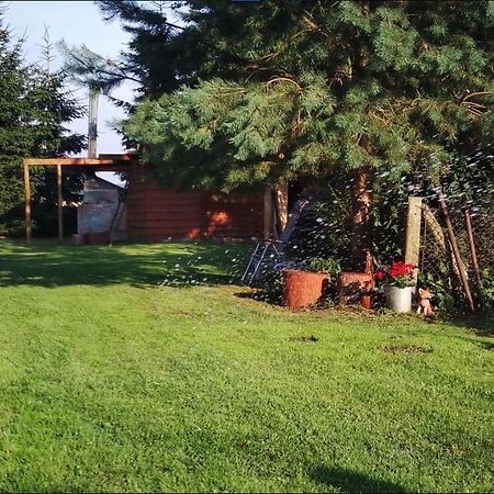 Agroturystyka U Rolnika - Apartament Nowakowo ภายนอก รูปภาพ